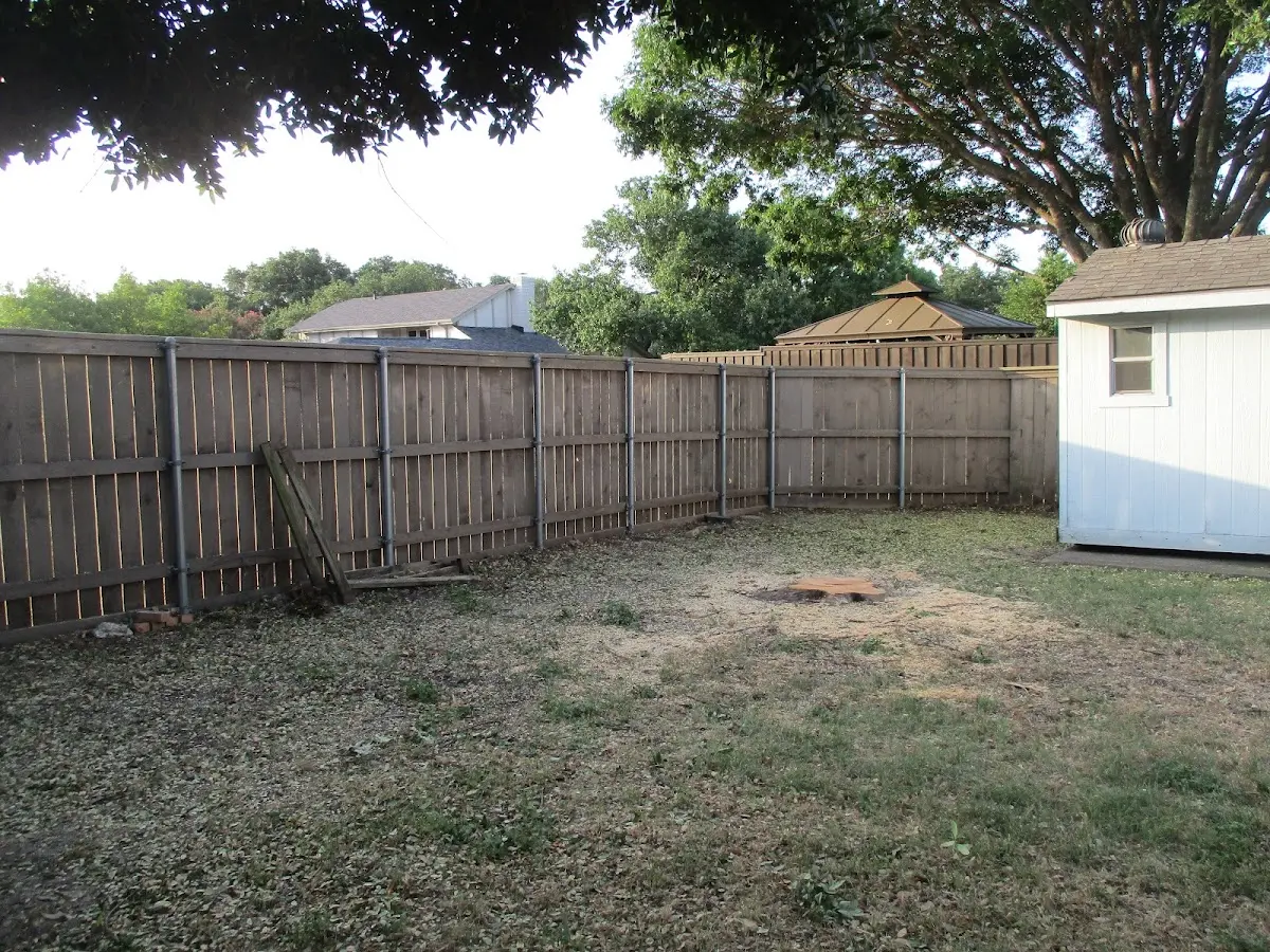 Cleared yard after professional tree removal in Eddyville